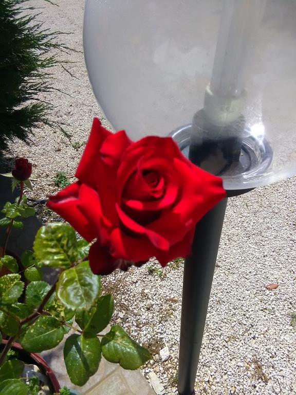 Apartament Trulli Sarmenzanello Noci Zewnętrze zdjęcie